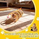 Ver la foto 6