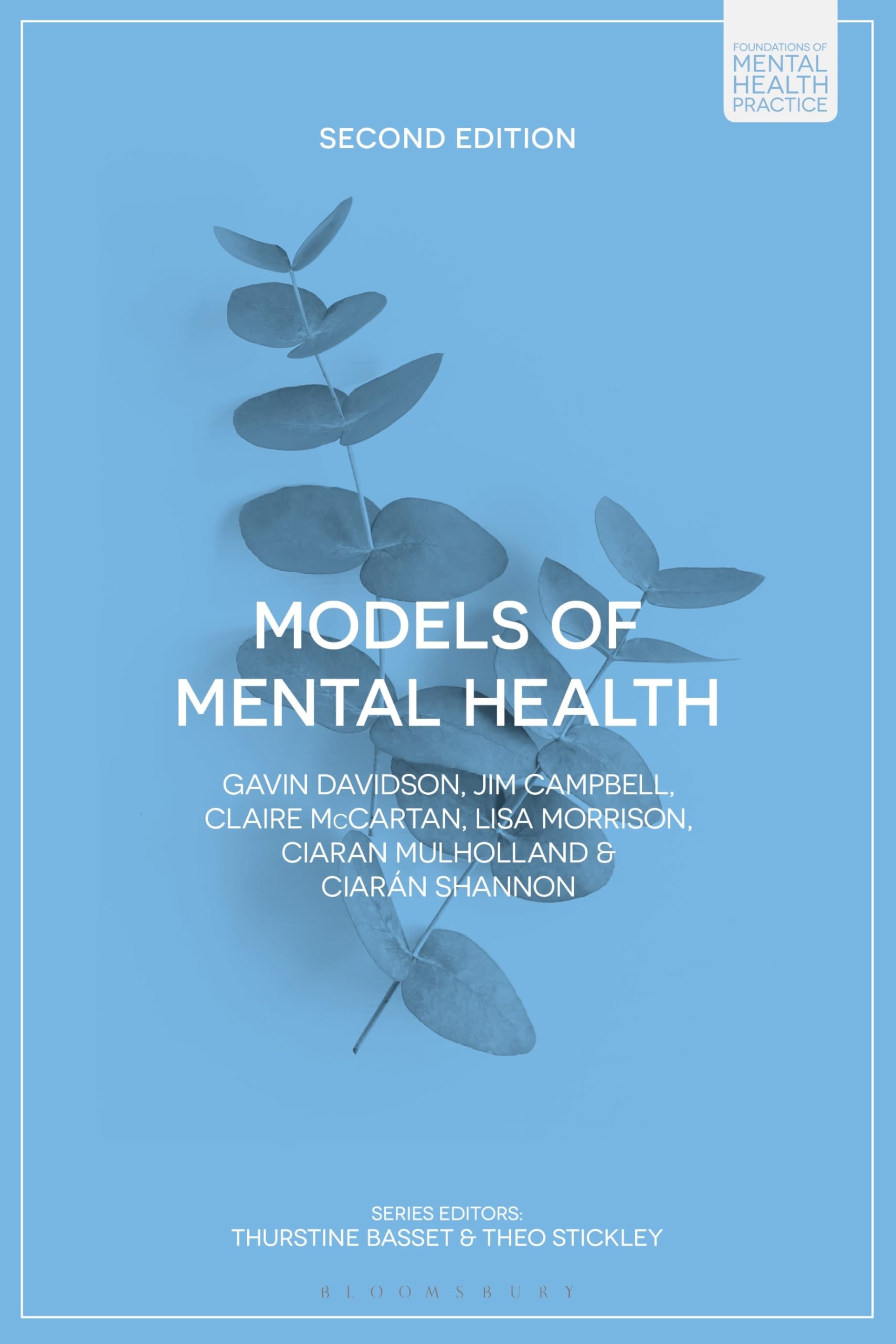 Models of Mental Health (Foundations of Mental Health Practice)