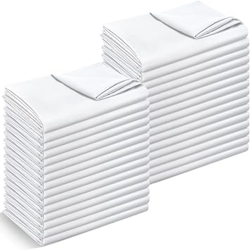 SmoothNovelty 30 Pack Twin Flat Sheets Bulk Soft Microfiber Massage Spa Bed Sheet Dust Poof Cover for Hospital Hotel Airbab Dorm Home Windows CurtainWhite,Twin