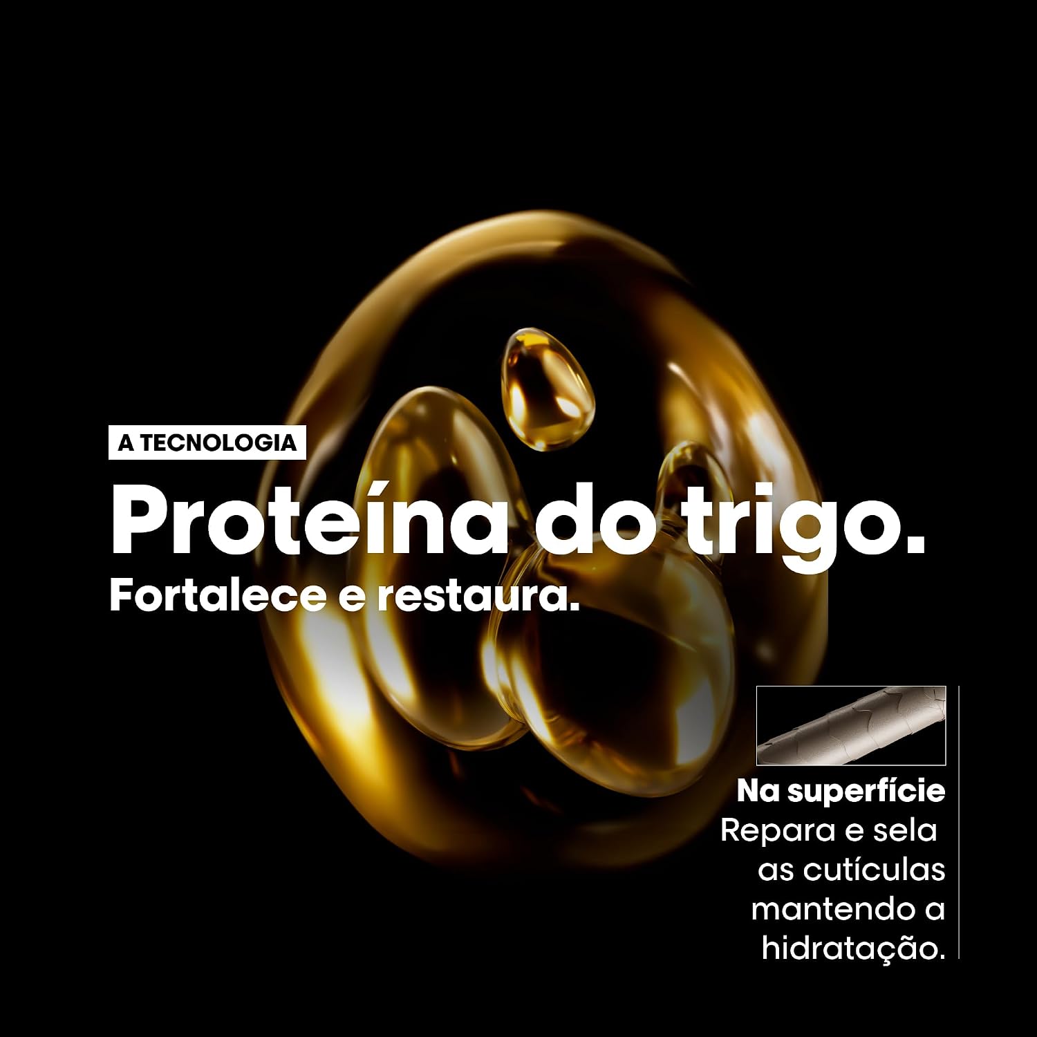 L'Oréal Professionnel Serie Expert Absolut Repair, Shampoo Reconstrutor para Cabelos Danificados e Finos Refil com Quinoa Dourada, Reparação Profunda e Brilho Intenso 240ml L'Oréal Professionnel Serie Expert Absolut Repair, Shampoo Reconstrutor para Cabelos Danificados e Finos Refil com Quinoa Dourada, Reparação Profunda e Brilho Intenso 240ml