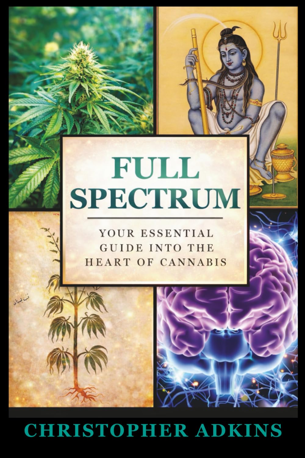 Full-Spectrum: Your Essential Guide into the Heart of Cannabis      Paperback – Large Print, January 12, 2026