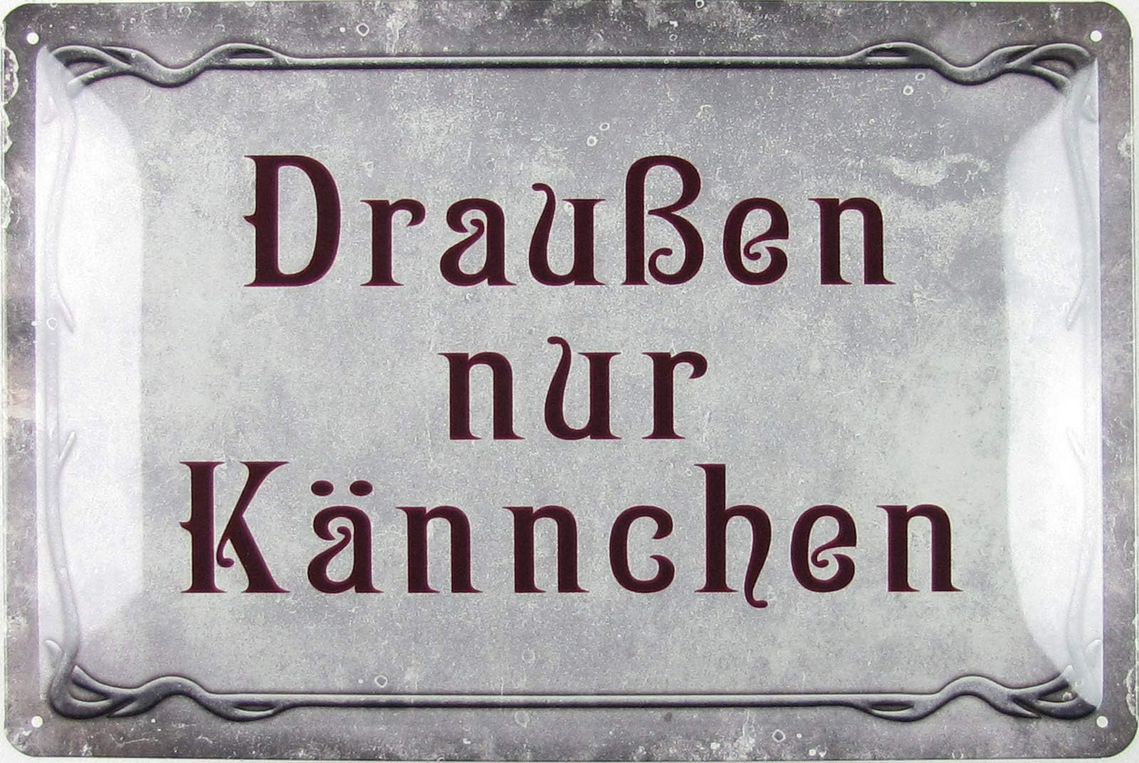 LANOLU Blechschild Irrenanstalt 15x20cm - Retro Deko Für Büro & Werkstatt