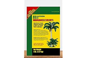 Manganese Sulfate: Essential Plant Nutrient for Bigger and Healthier Harvests