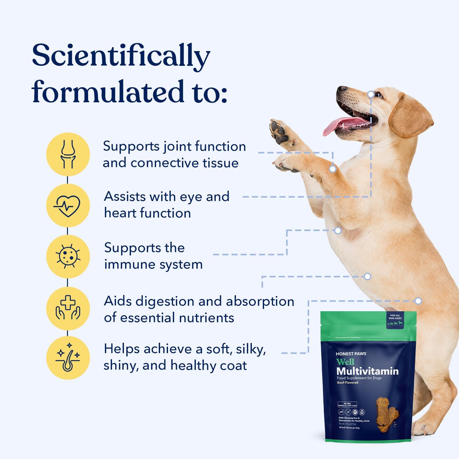 Honest Paws (90 Count) Dog Multivitamin Soft Chews with 10 Essential Vitamins - Joint, Coat, Immune, Eye & Heart Support - with Glucosamine, Chondroitin & Omega-3 - Beef Flavor (Pack of 2)