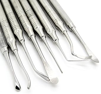 Periosteal Dental Elevator Oral Instruments Dg16, Bone Scraper, Plugger, Periostome
