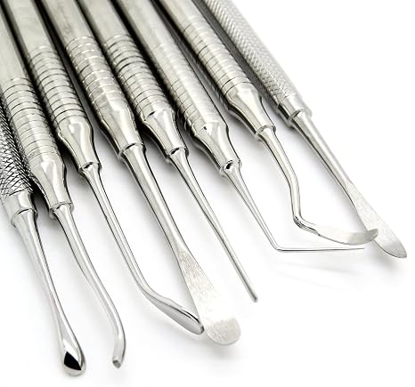 Periosteal Dental Elevator Oral Instruments Dg16, Bone Scraper, Plugger, Periostome