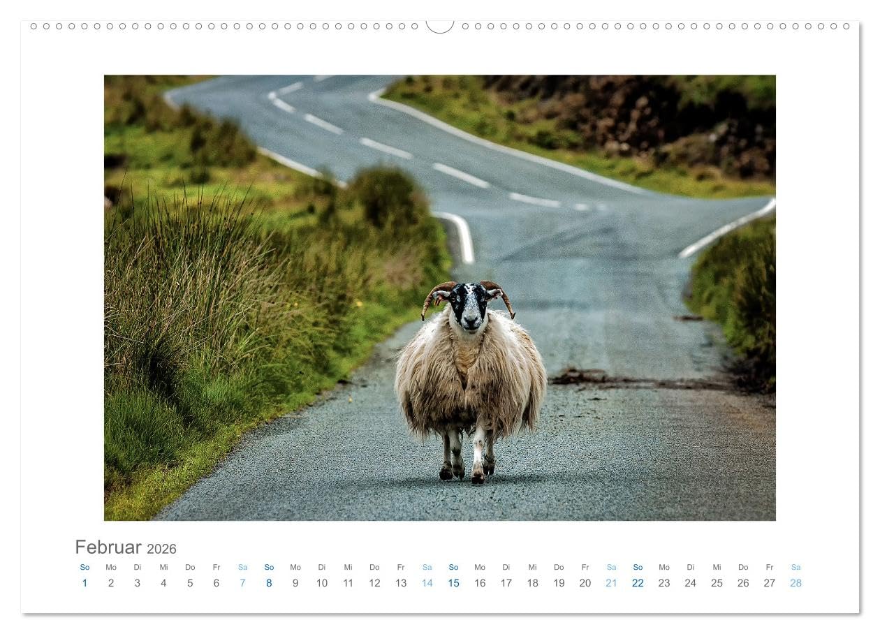 Street Moments (hochwertiger Premium Wandkalender 2026 DIN A2 quer), Kunstdruck in Hochglanz: Lebendige Straßenszenen von Europa bis Amerika (CALVENDO Kunst)