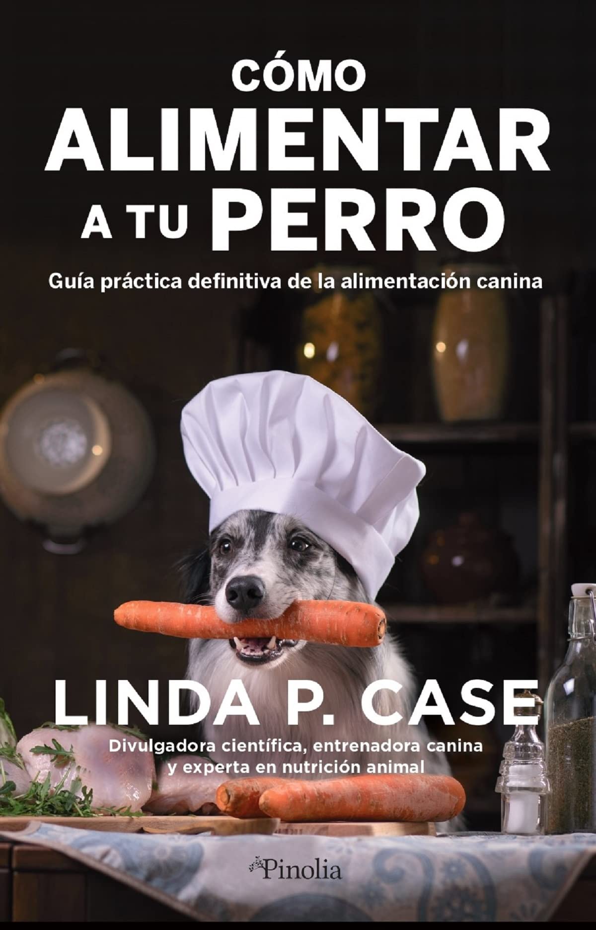 Como Alimentar a Tu Perro: Guia Practica Definitiva De La Alimentacion Canina