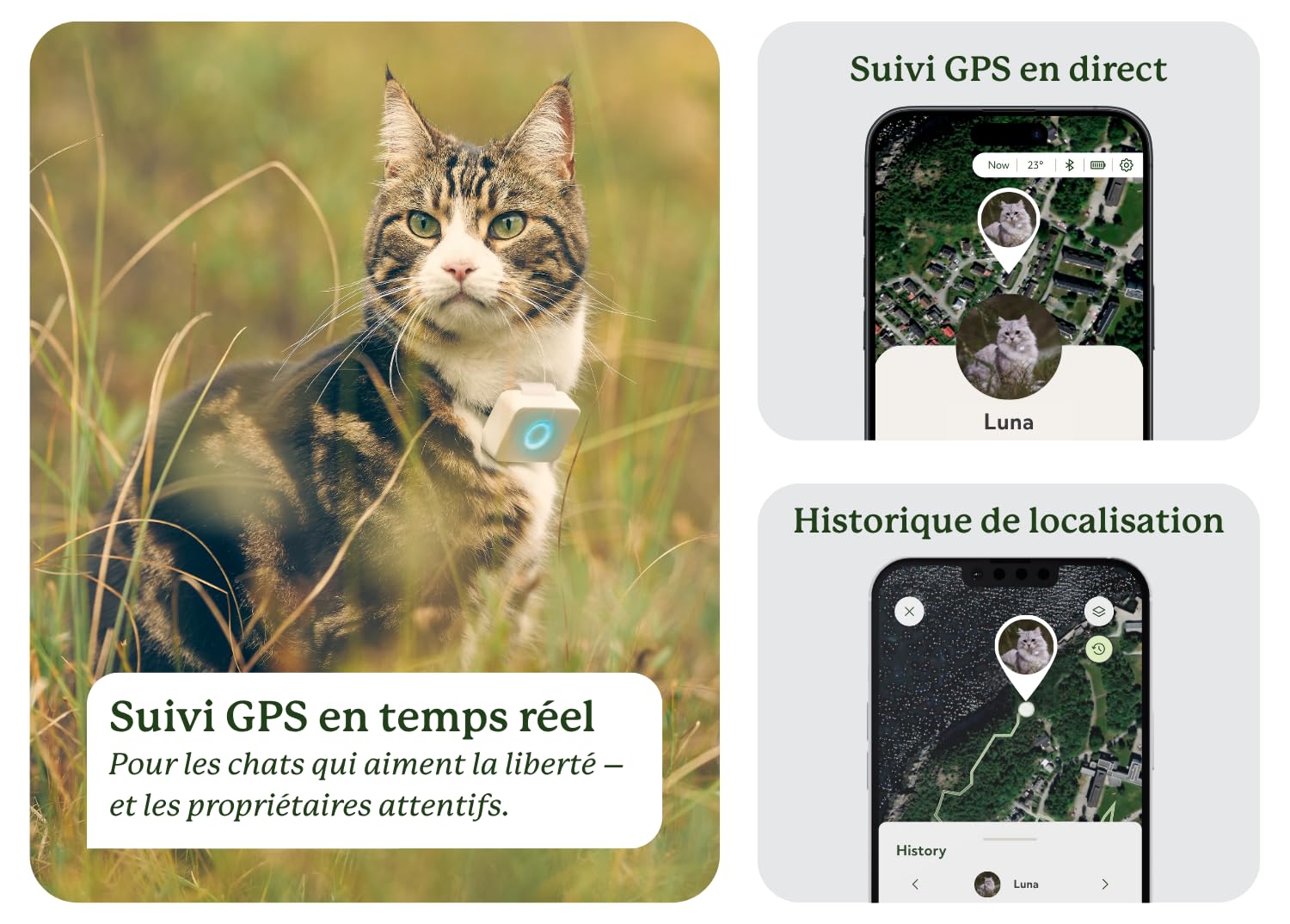 Lilcat 2 GPS et Tracker d'activité pour Chats | Imperméable, léger, résistant aux Chocs | Suivi GPS en Direct et Historique de localisation | Compteur de Pas et Moniteur d'activité | Fabriqué en