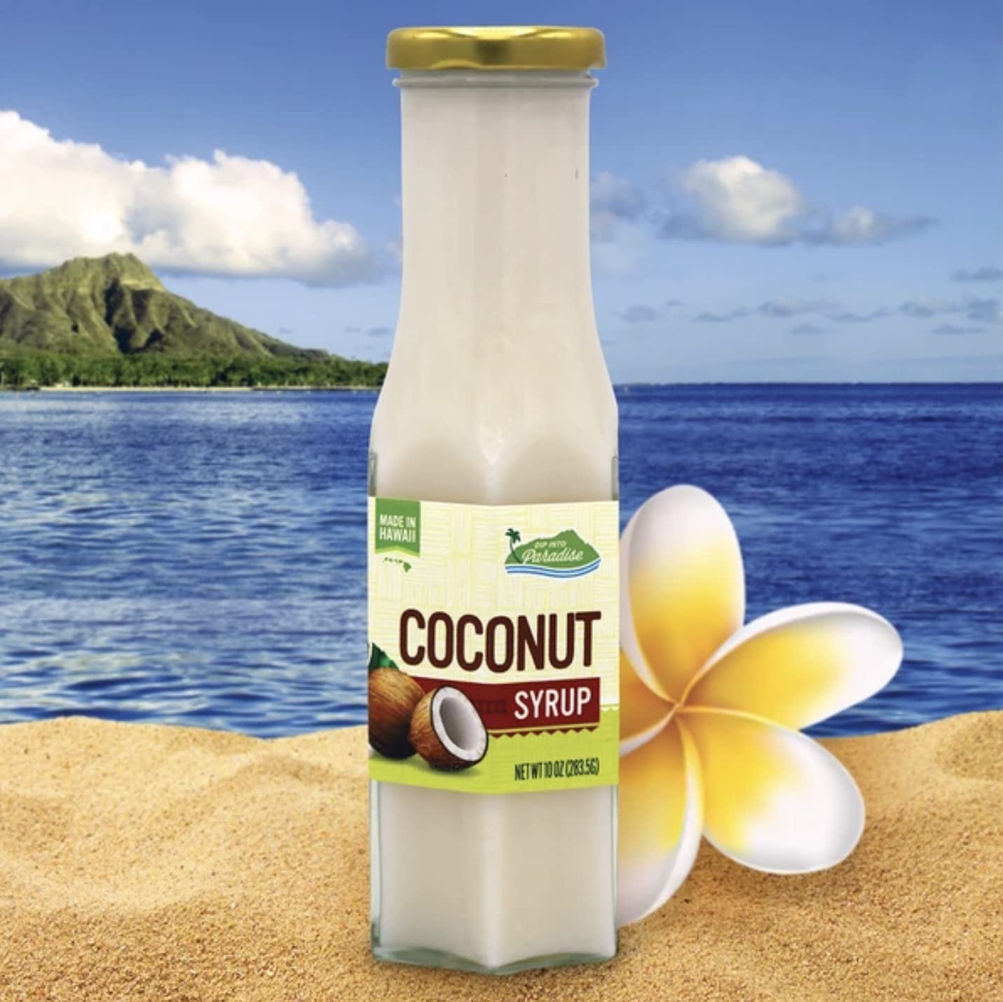 Dip Into Paradise Gourmet Coconut Fruit Syrup,Made in Hawaii,Dip into Paradise,10 oz.