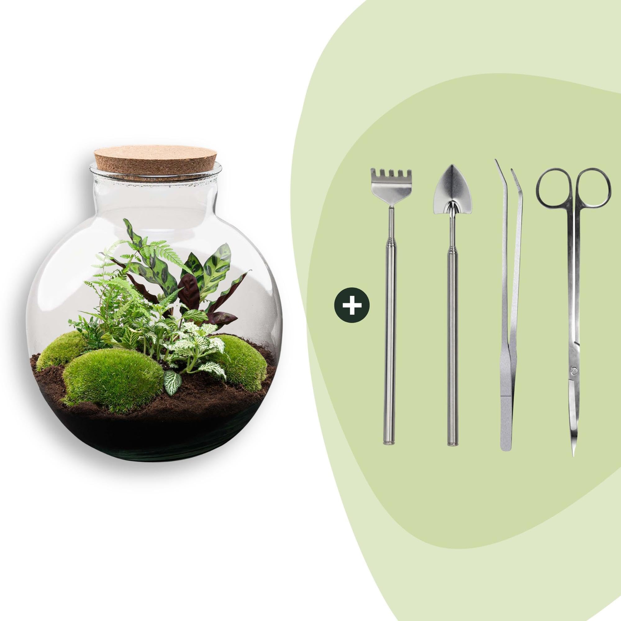 DIY Pflanzen-Terrarium mit Beleuchtung, Glas, mit Werkzeug, Ø 31x30 cm