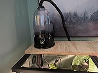 Review Image by Caitlin Gunster Caitlin Gunster