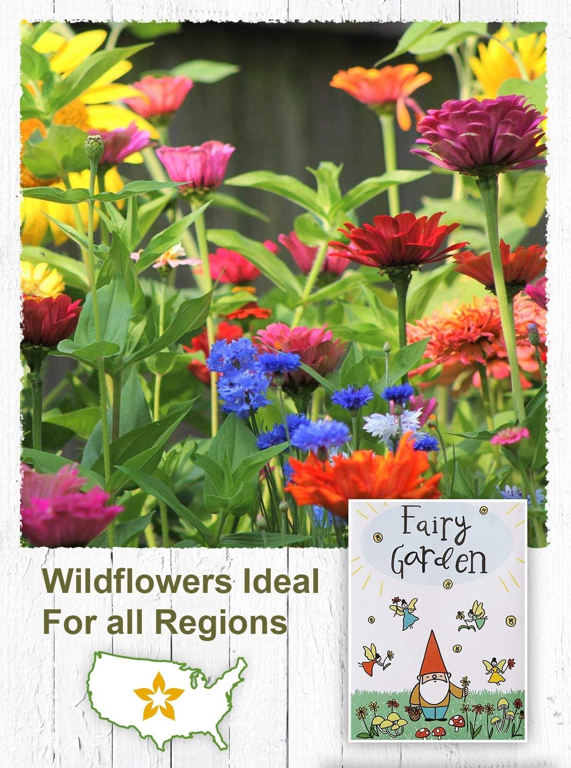 Buy American Meadows Wildflower Seed Packets Fairy Garden Party Favors