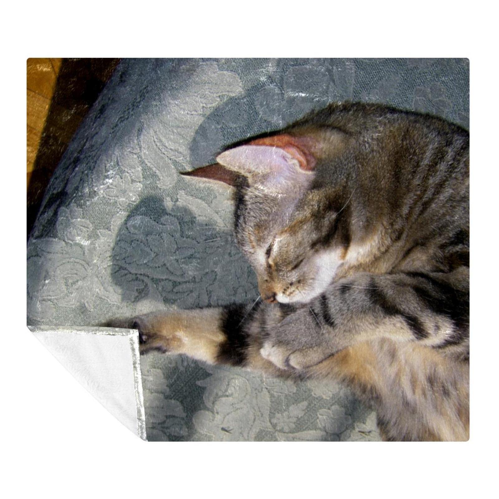 Couverture de sieste chat endormi chaude pour moments cocooning