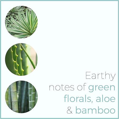 Miniatura 2 de Velas perfumadas no tóxicas para hombres, sal marina, jazmín, polvo, almizcle claro, hechas a mano en Estados Unidos, soja, cera de abejas, mezcla