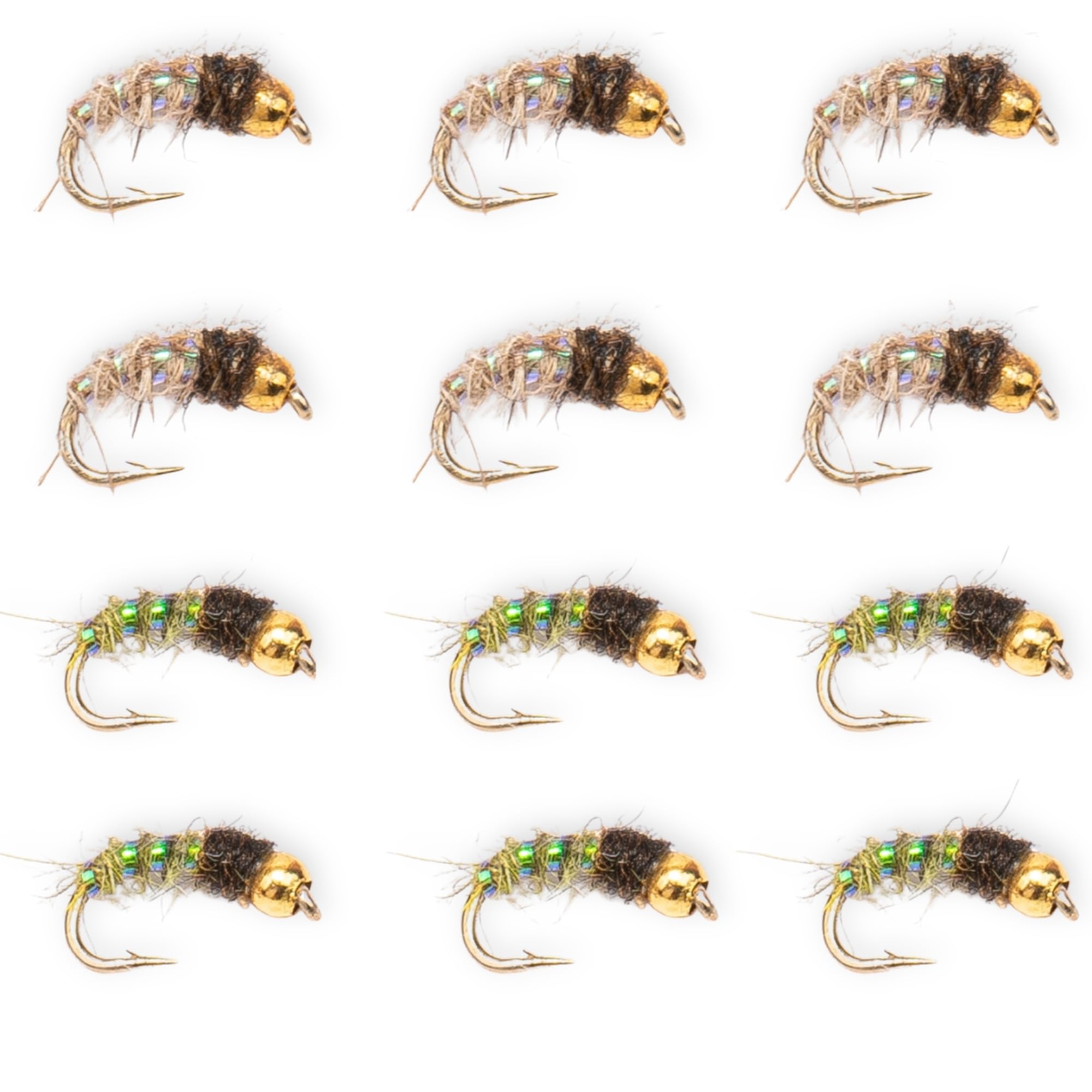Caddis Larvae 12 Pack - Hand Tied Nymph Flies for Trout Fly Fishing - Realistic Caddis Larva Pattern for Rivers, Creeks & Streams - Premium Subsurface Trout Fly Set