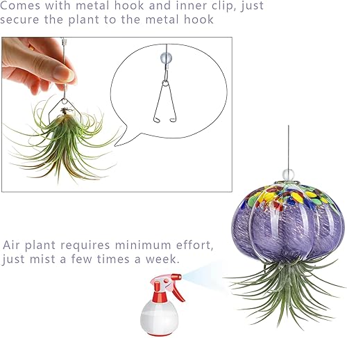 Miniatura 3 de H&D HYALINE & DORA Macetero de cristal soplado a mano colgante, medusas, decoración de terrario para jardín, porche, ventana, alféizar (sin plantas)