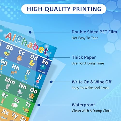 Miniatura 4 de GERUEE 12 pósteres educativos para niños pequeños, materiales de tabla de aprendizaje para clases de escuela primaria y secundaria, jardín de