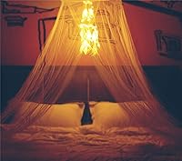 Vista 2 de Dosel de cama con atrapasueños de plumas blancas de doble círculo y 50 luces de cadena LED de hadas, mosquitera - Dosel de red para cama