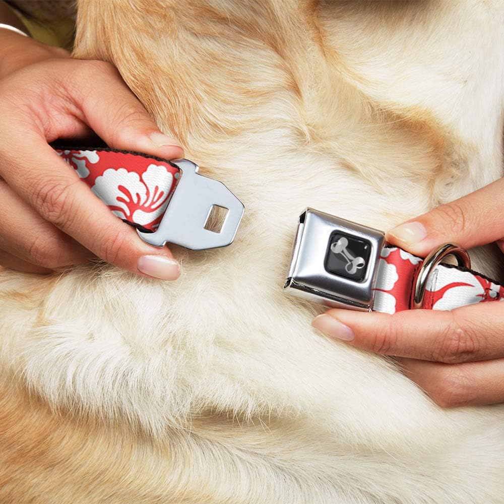 Buckle-Down Hibiscus Light Red/White Dog Collar Bone, Medium/11-17
