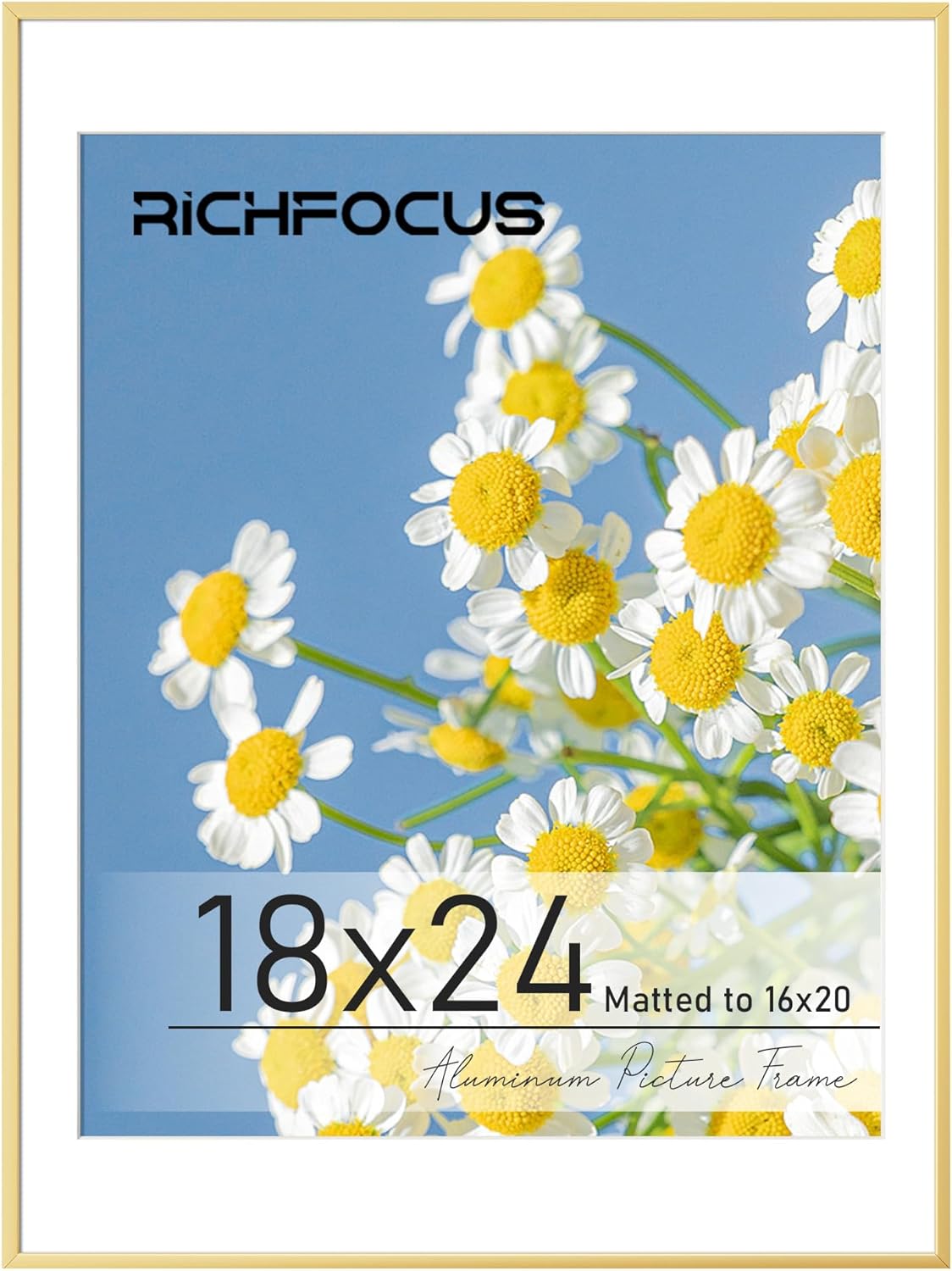 RICHFOCUS 18 x 24 Poster Frame Gold|18x24 Picture Frame with Mat for 16x20|24 x 18 Metal Aluminum Frame for Wall with Tempered Glass|Hanging Hardwares Included, Set of 1 Gold 18x24-1P-Tempered Glass