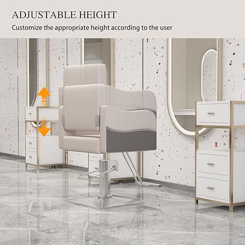 Miniatura 23 de Silla de peluquería, silla de peluquería para estilista, silla de peluquería giratoria de 360 grados, silla de bomba hidráulica de alta resistencia