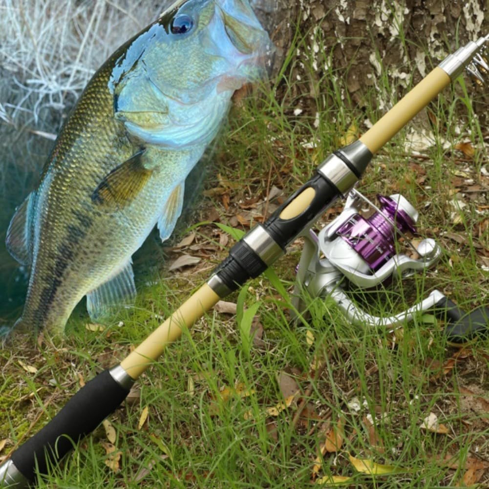 Canne à pêche télescopique et moulinet pour Combo 1,8 m 56 pièces Kit portable en fibre de verre pour débutants, bar, truite, voyage côtier