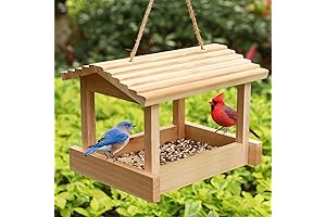 STARSWR Bird Feeders for Outside Hanging - Mealworm Feeder for Cardinals, Finches and Bluebirds
