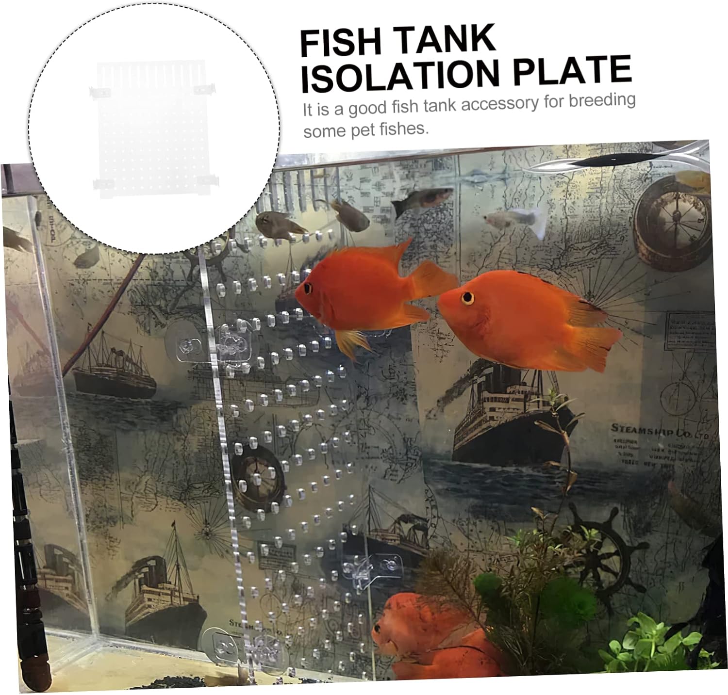 Acrylic Aquarium Divider Board Transparent Fish Tank Separator for Easy Installation for Breeding Support Cups Versatile Aquarium Supply