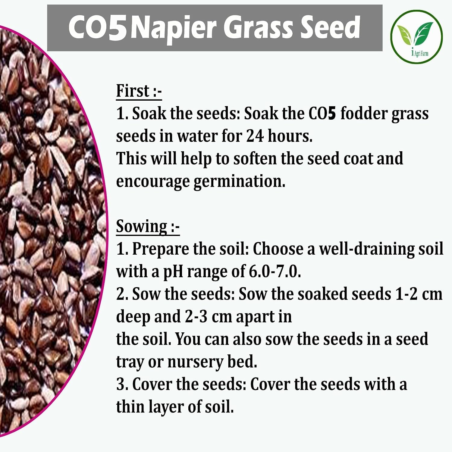 Napier Grass Seed - Goat, Cow, Livestock Feed -4