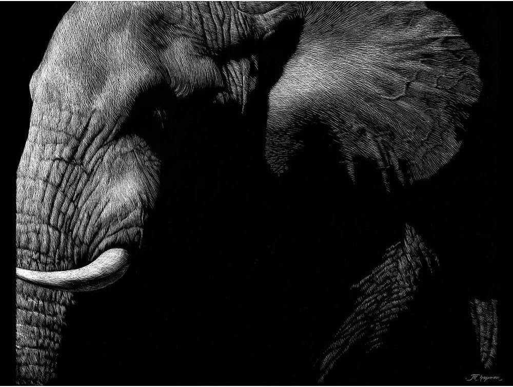 ArtDirect Wildlife Scratchboards III Unframed Art Print Giclee Poster by Chapman, Julie T. - Ready for Framing with Customization Sizes 10x8, 14x11, 20x15, 32x24, 48x36, and 60x45 Inches