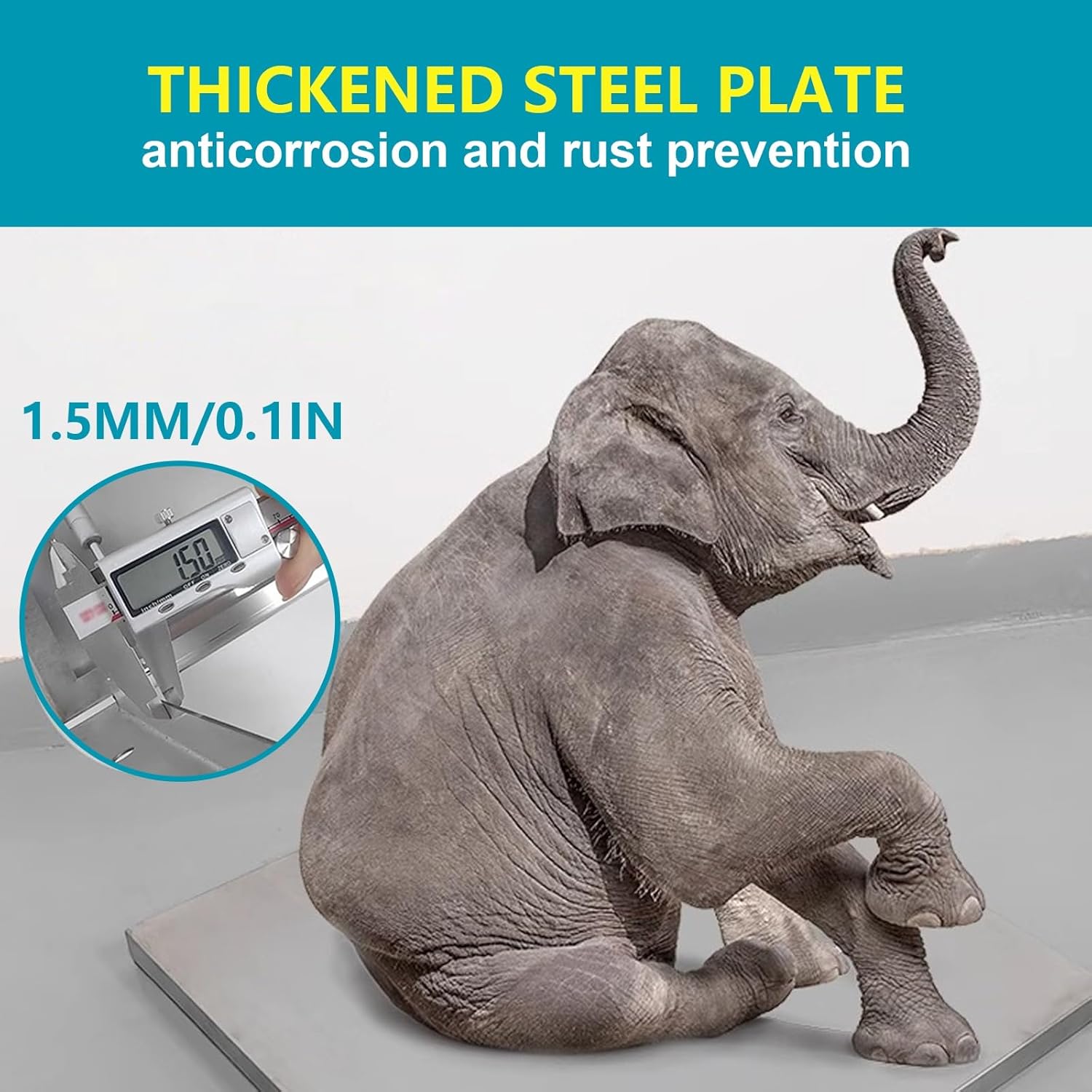 サマーセール！ 大株 長期管理株 ボスウェリア ネグレクタ 現地球 船串篤司 サマーセール！ 大株 長期管理株 ボスウェリア ネグレクタ 現地球 船串篤司