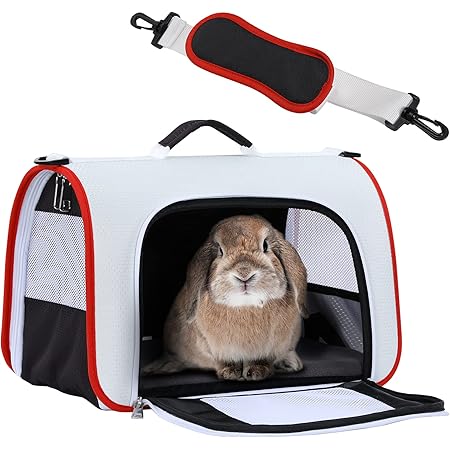 rabbit carrier amazon