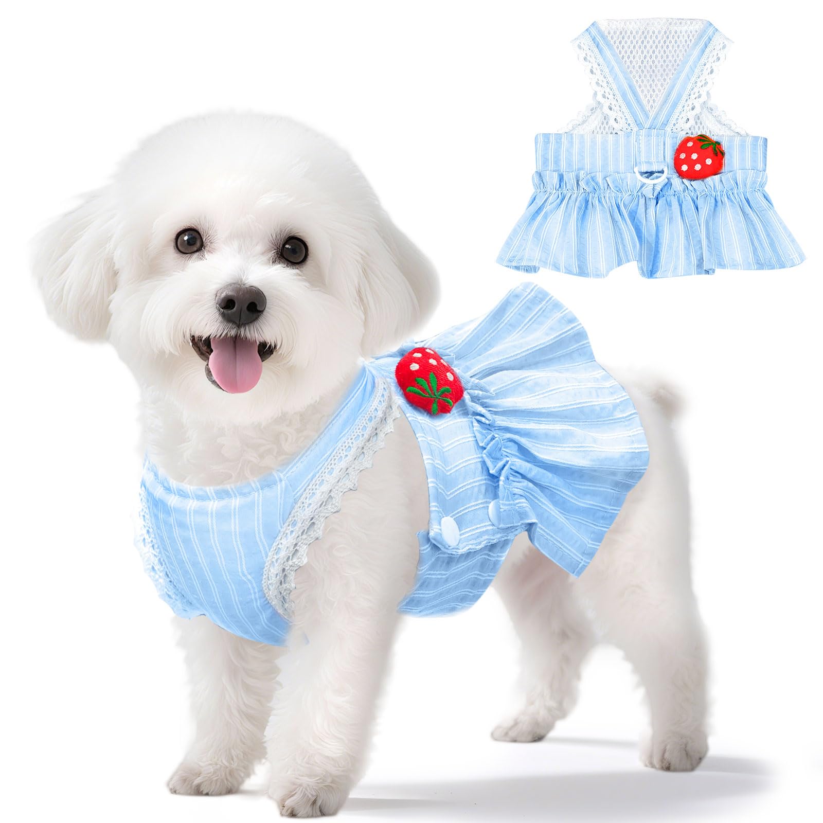 XGDMEIL Cute Strawberry Small Dog Dress with D-Ring Princess Lace Girl Female Dog Clothes Spring Summer Breathable Mesh Pet Puppy Cats Harness Dress