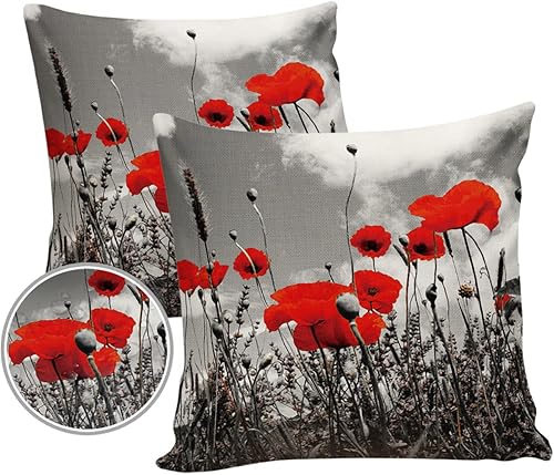 Fundas de almohada para exteriores, diseño abstracto de flores rojas y amapolas, impermeables, paquete de 2 fundas de almohada para decoración del