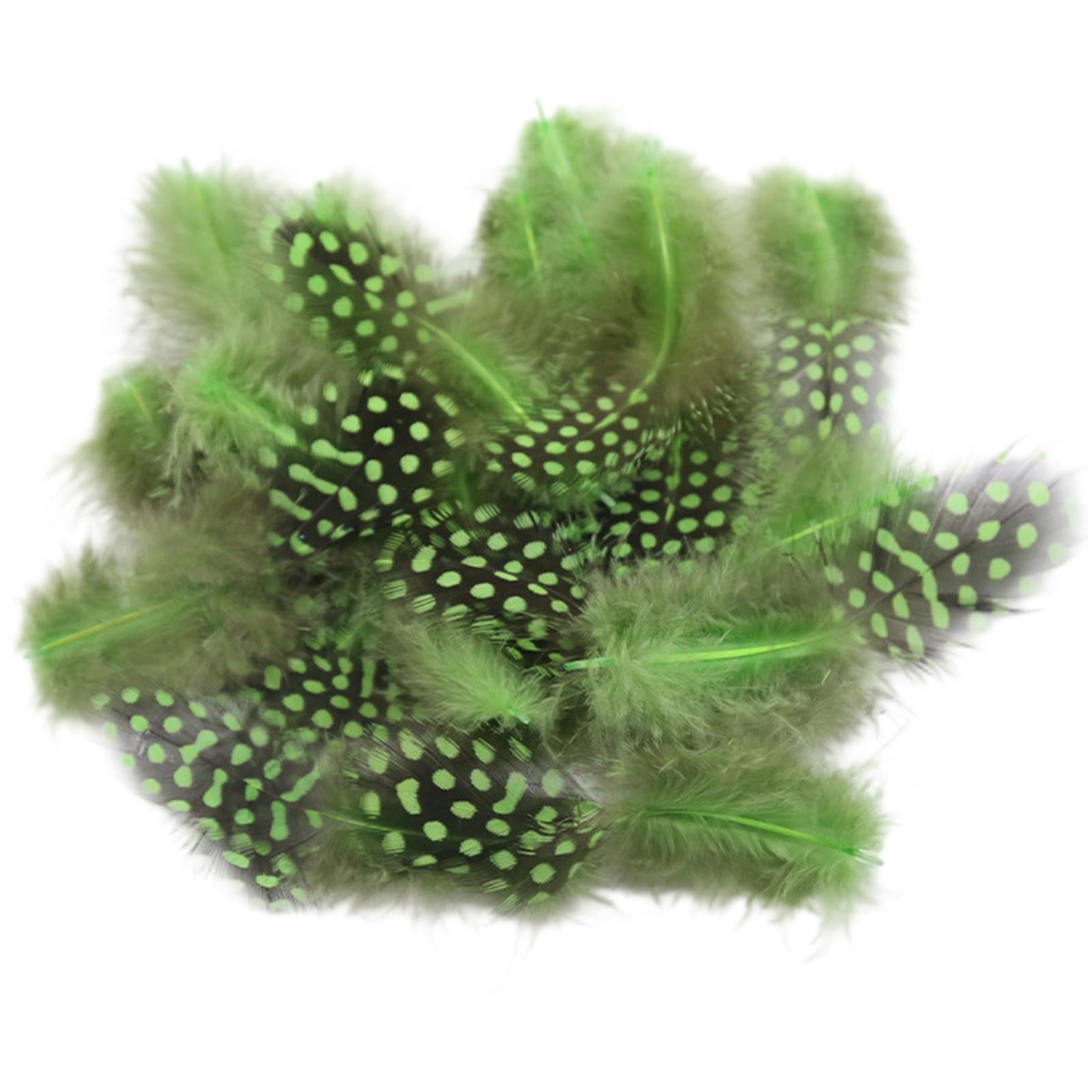 Whoasyst 100PCS Soft Plumage for Projects Portable Decorative Materials Ideal for Costume Design and Party Decoration Natural Quills for Decoration