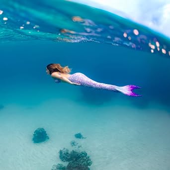 Mermaid Costume and Monofin (Aurora Borealis with Lavender Monofin, JXXL Misses 18-20)