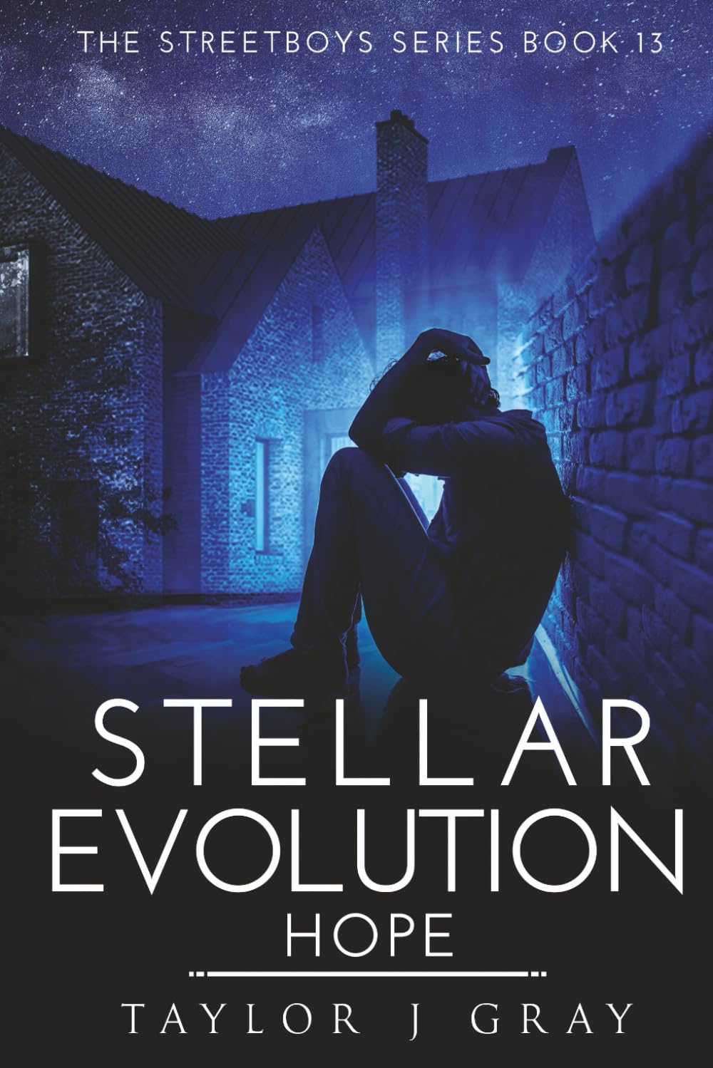 STELLAR EVOLUTION HOPE (STREETBOYS SERIES)