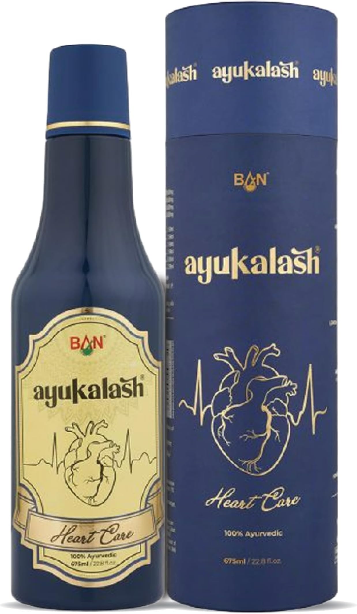 Heart Care Ayurvedic Syrup 675 ml | Herbal Blend with Ayurveda Ingredients | Zero Sugar Formula | Natural Chyawanprash Based Supplement for Wellness, Digestion, Blood Pressure & Cholesterol