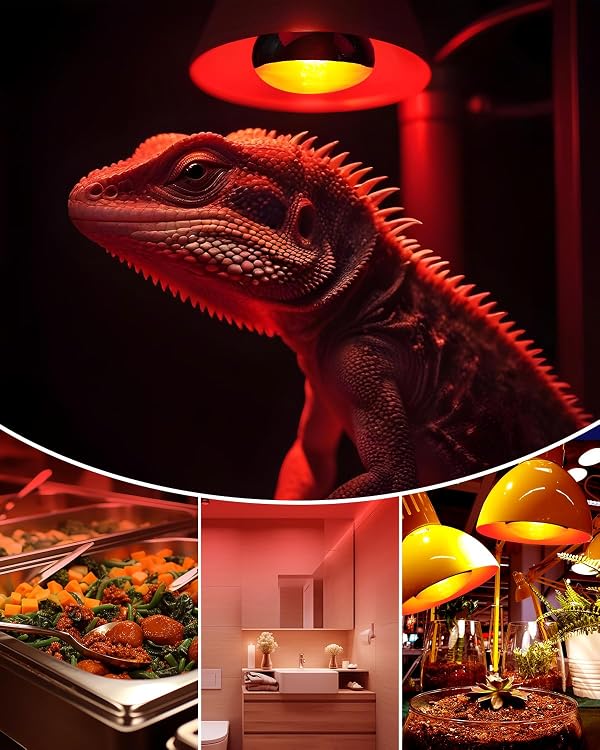 250 Watt Heat Lamp Red Infrared Bulbs Glass Heat Lamp Bulb for Food Service, Brooder Heat Lamp for Chicks, Reptile, Pet, Bathroom, Light Therapy Use E26 Base, Flood Light Heat Lamp Bulb - 2Pack by DoRight - Image 5