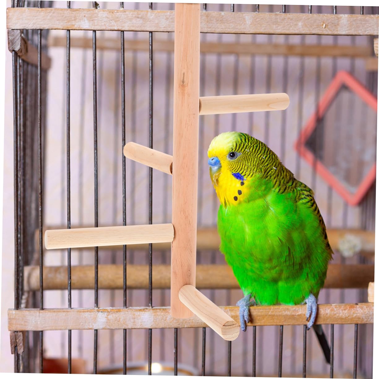 YARNOW 8 Piezas De Juguete para Pájaros Perca para Periquito Juguete Percha De Madera Natural para Pájaros Perchas para Cacatúas Soportes para para Loros Accesorios para