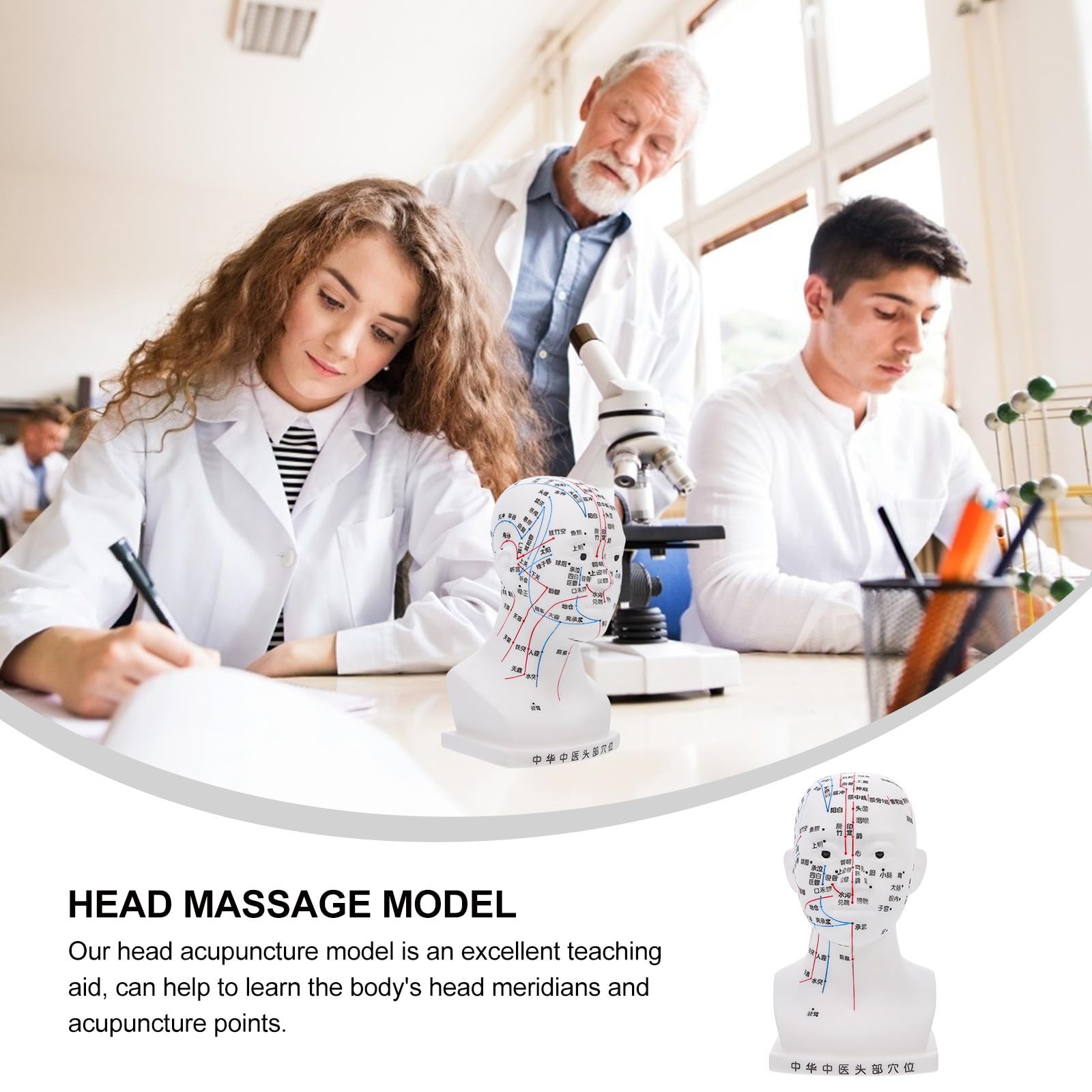 Medizinisches 20cm Akupunkturkopfmodell aus Pvc Modell Kopfmassage mit Ergonomischem Design als Lehrhilfe für Gesundheitsdemonstrationen im Klassenzimmer