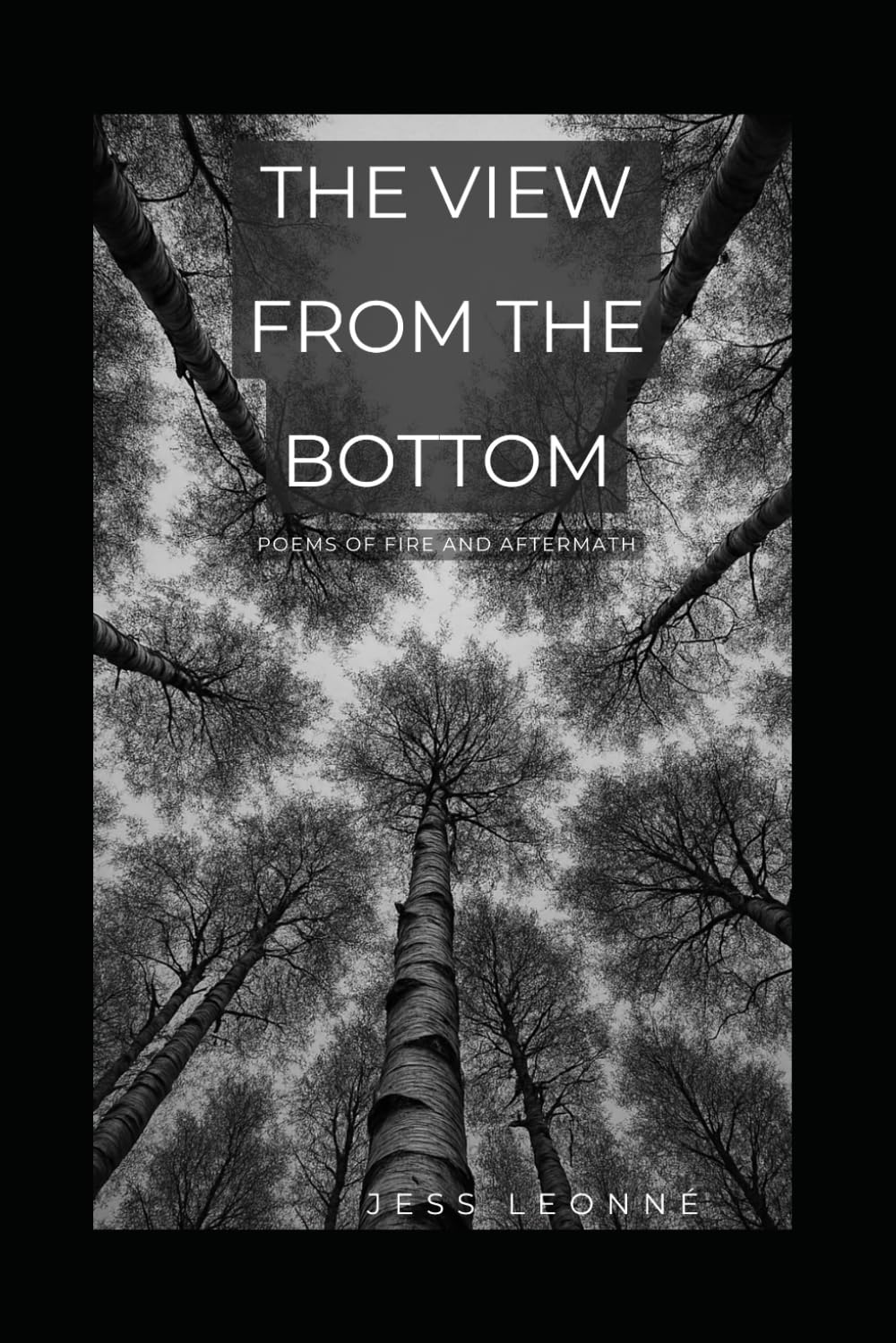 The View From The Bottom: Poems of Fire and Aftermath