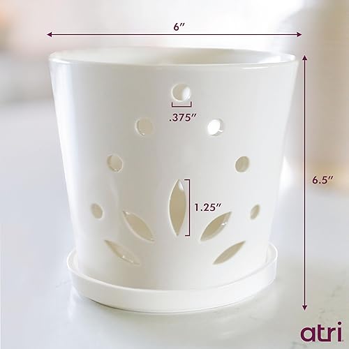 Miniatura 4 de Atri Maceta de cerámica para orquídeas con agujeros de 65 pulgadas maceta duradera 100 de porcelana con agujero de drenaje y platillo 6 pulgadas de