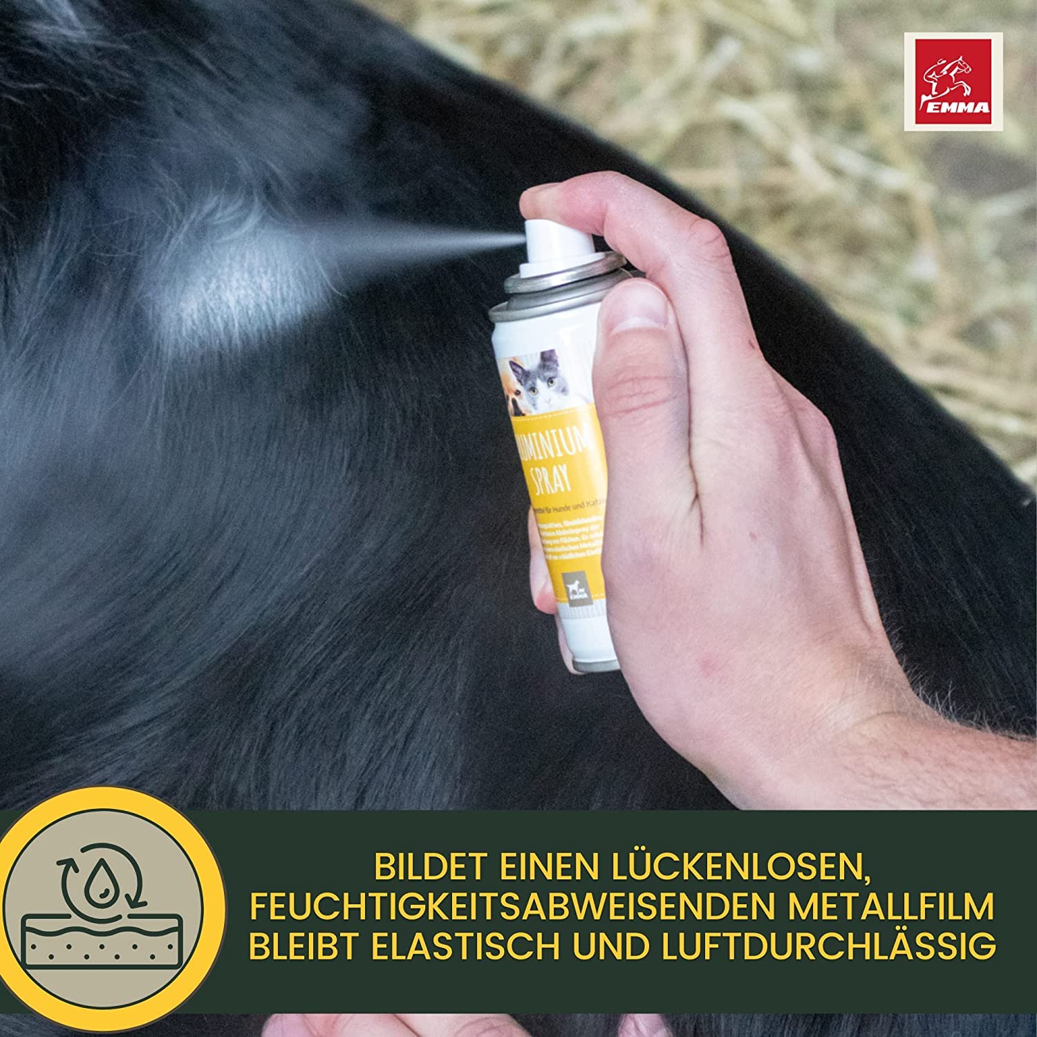 EMMA Silberspray Wundspray Hund Katze Pferd 3×0,1 L Sprühpflaster