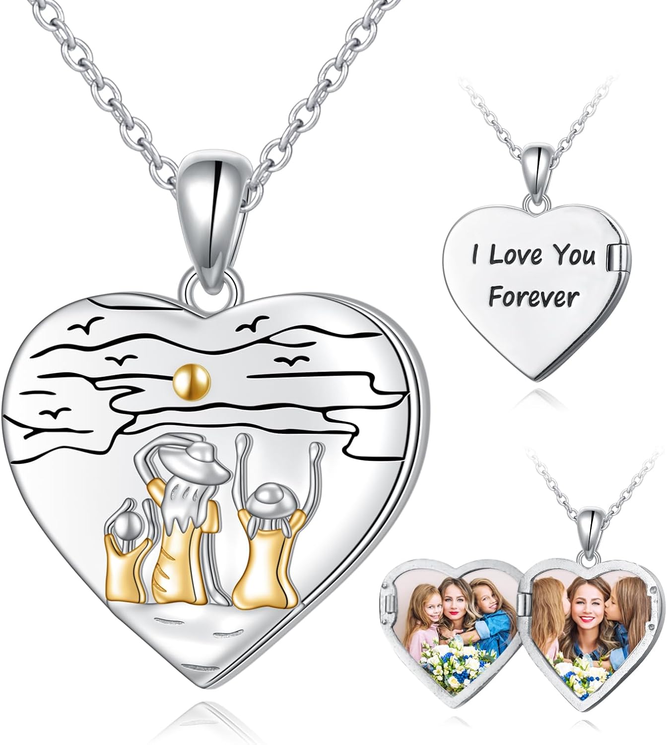 HOOHWE Mother Daughter Sisters Photo Necklaces 925 Sterling Silver Picture Necklace Keep Someone Near to You Heart Shaped Locket That Holds Pictures Memory Jewelry for Mom Daughter Son Sisters