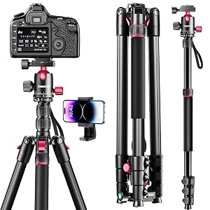 CAMBOFOTO 80"/205cm Camera Tripod, Aluminum Ball Head Tripod for Camera