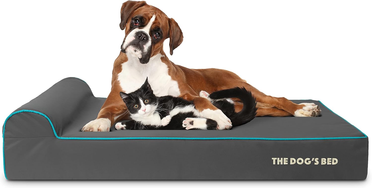 The Dog’s Bed Orthopedic Memory Foam Dog Bed with Headrest, Oxford Fabric, Grey with Blue Trim, XL, 6-Inch