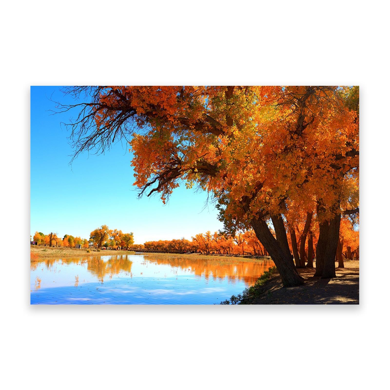 Quadri di decorazione da parete della foresta - Stampe su tela di paesaggi autunnali- Natura autunnale-Immagini decorative per soggiorno 60x90cm (23,7x35,5) Solo tela