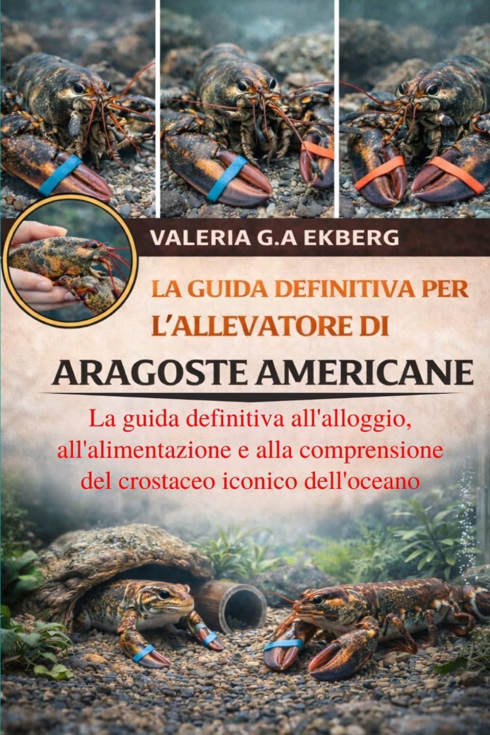 LA GUIDA DEFINITIVA PER L'ALLEVATORE DI ARAGOSTE AMERICANE: La guida definitiva all'alloggio, all'alimentazione e alla comprensione del crostaceo iconico dell'oceano